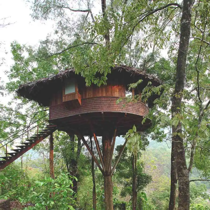 Tree House resorts in India you must visit | Femina.in